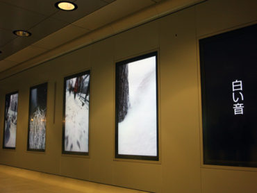 【イベント・放映終了】まち的写真家のススメ -歩いて、撮って、みんなにみせる- 毎日放映中！