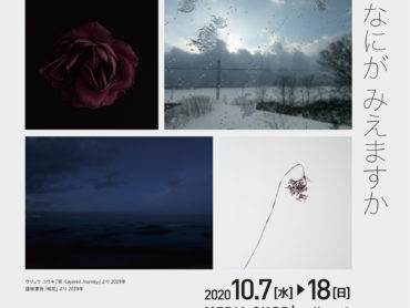 [Two-artists exhibition in Kyoto] “What can you see from there?” by Yuuki URYU and Kengo OSAKA 7-18 Oct.2020